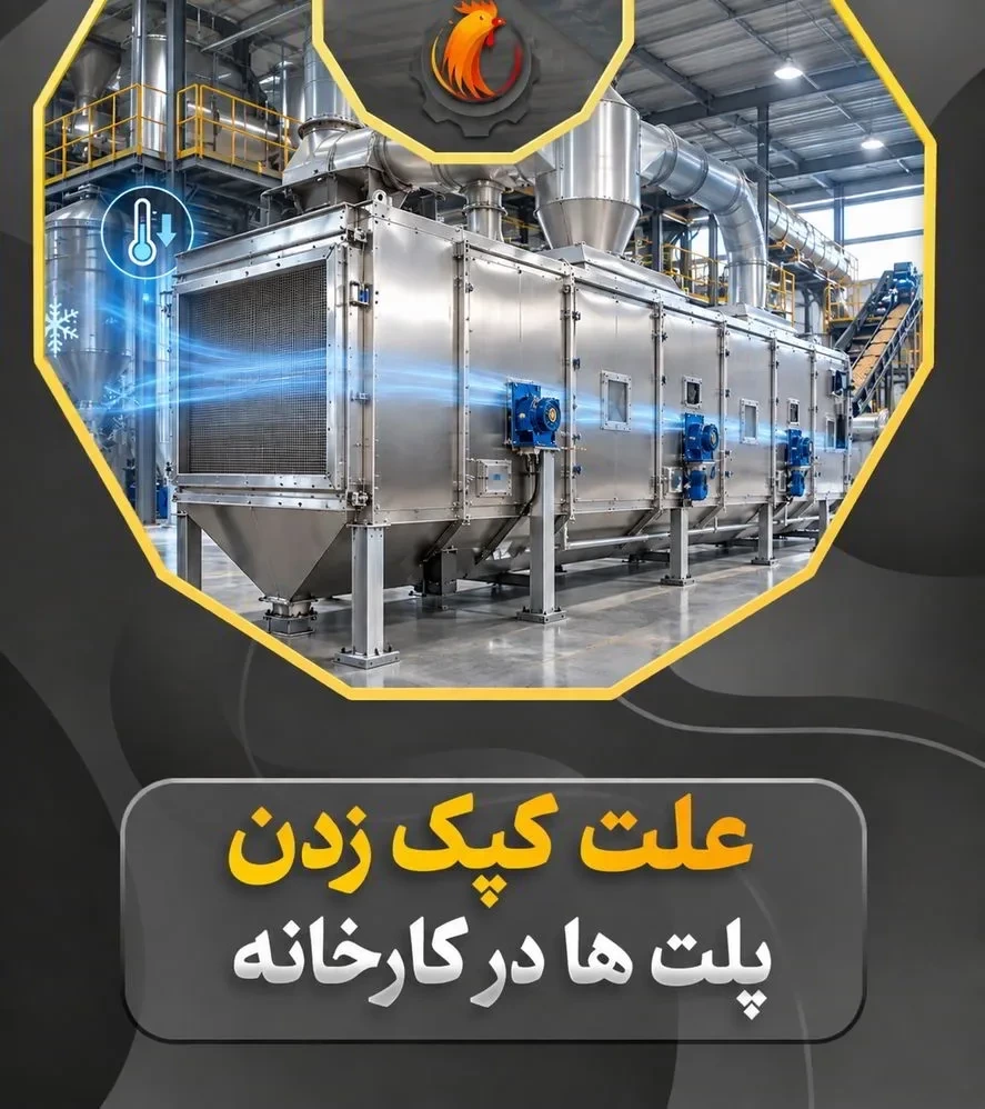تیتر: چرا پلت‌ها در انبار کپک می‌زنند؟ نقش حیاتی کولر پلت